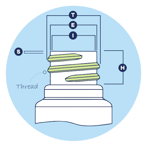 parts-of-bottle-neck-thread