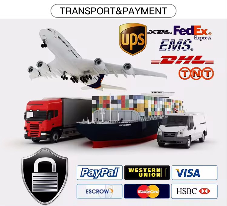 Transport and Payment