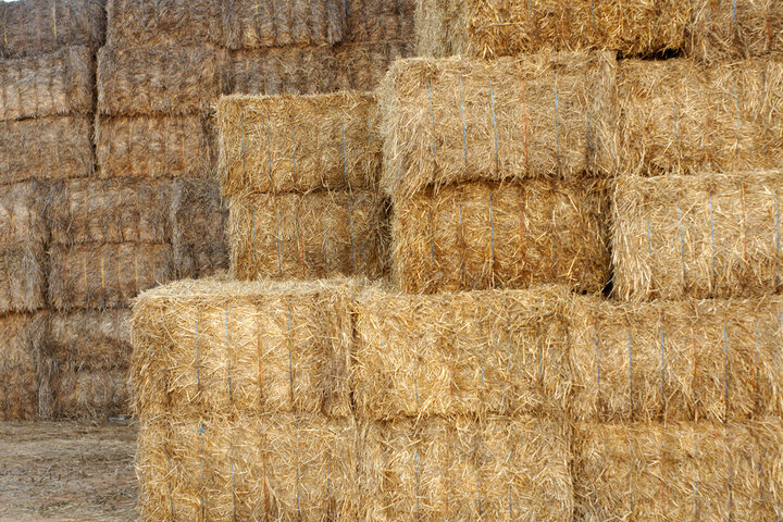 Stacked straw bales